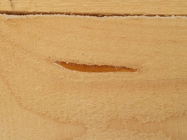 дефект древесины