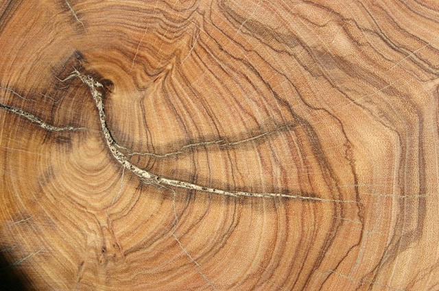 свилеватость древесины
